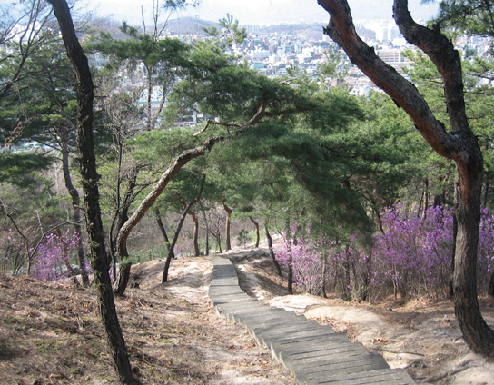 천장산 산책로